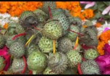 बनारस: कुछ अपना सा
